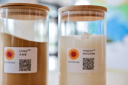 领航生物经济，赋能可持续发展 广东泰索斯的创新实践与战略布局